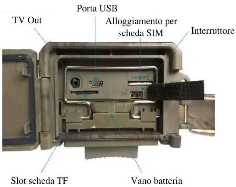 BRAUN BLACK300phone - Vista inferiore - 1