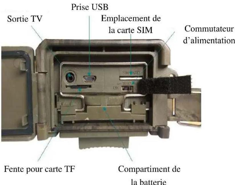 BRAUN BLACK300phone - Vue de dessous - 1