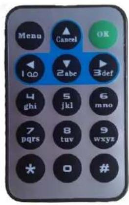 BRAUN BLACK300phone - Fernbedienung - 1
