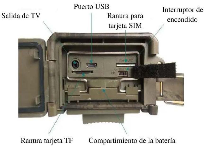 BRAUN BLACK300phone - Vista inferior - 1