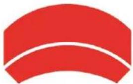 BRAUN BLACK300phone - Lieferumfang - 8