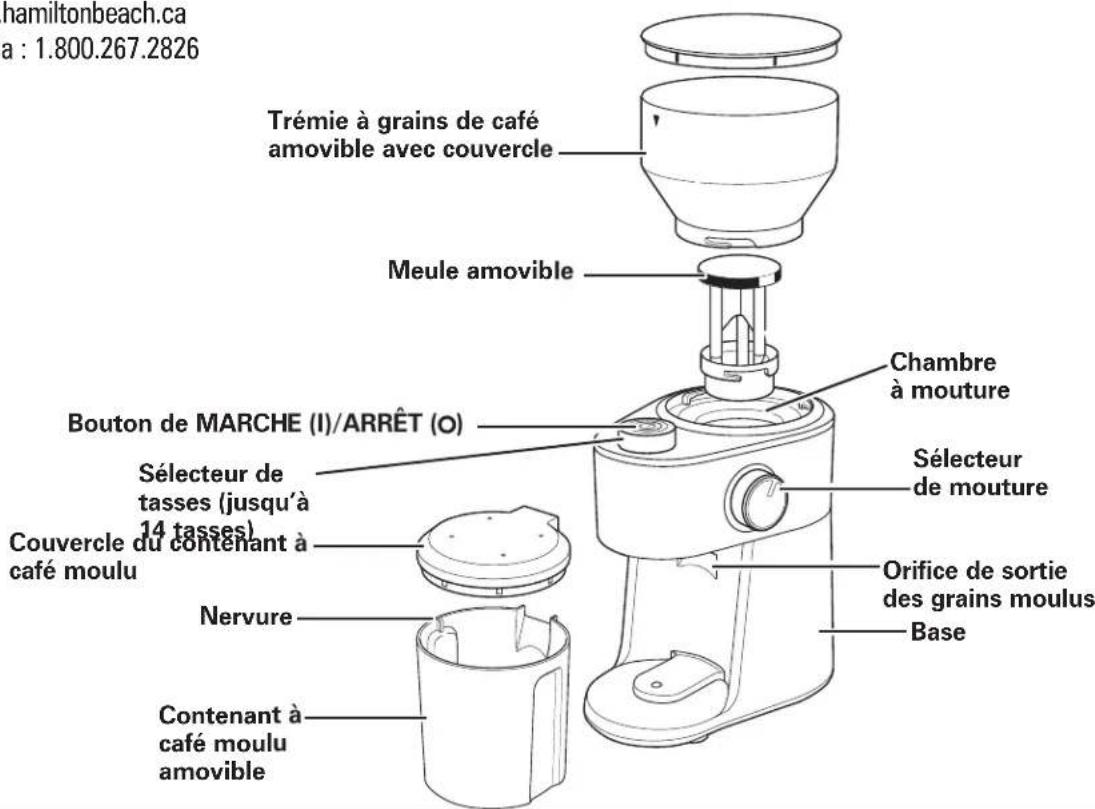 HAMILTON BEACH 80382 - Pièces et caractéristiques - 1