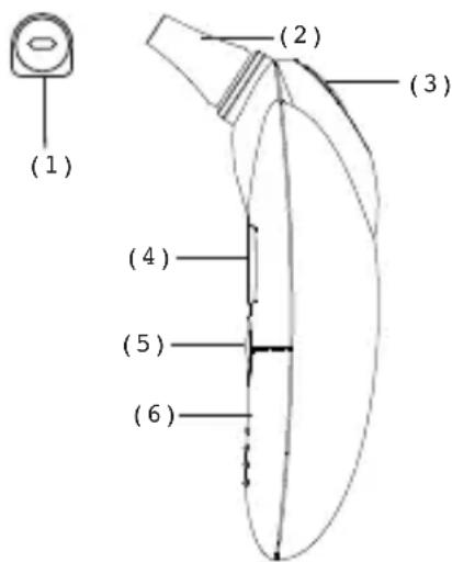 MICROLIFE IR 1DB1 - Description de l'appareil - 1