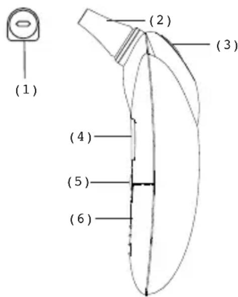 MICROLIFE IR 1DB1 - Product Description - 1