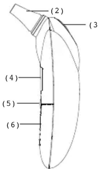 MICROLIFE IR 1DB1 - Descripción del Producto - 2