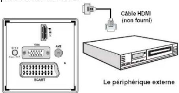 WINDSOR WDVX22LED12 - Connexion du téléviseur à un lecteur de DVD via HDMI - 1