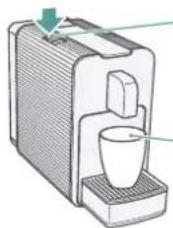 Delizio Viva B6 - Vider quotidiennement la grille égouttoir, le réceptacle à capsules et le réservoir d'eau - 2
