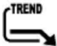 BRESSER 4Cast NG 7001023 - TEMPERATURE TREND - 3