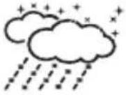 BRESSER 4Cast NG 7001023 - ICÔNES METEO - 16