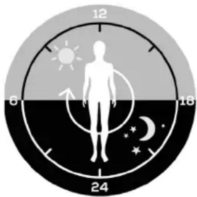 BEURER TL 45 - Warum heißt die Tageslichtlampe „Perfect Day“? - 1