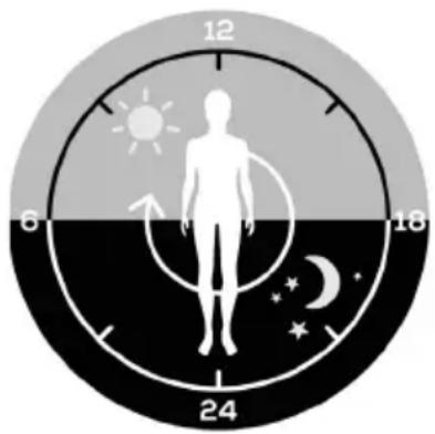 BEURER TL 45 - Varför heter dagsljuslampan "Perfect Day"? - 1
