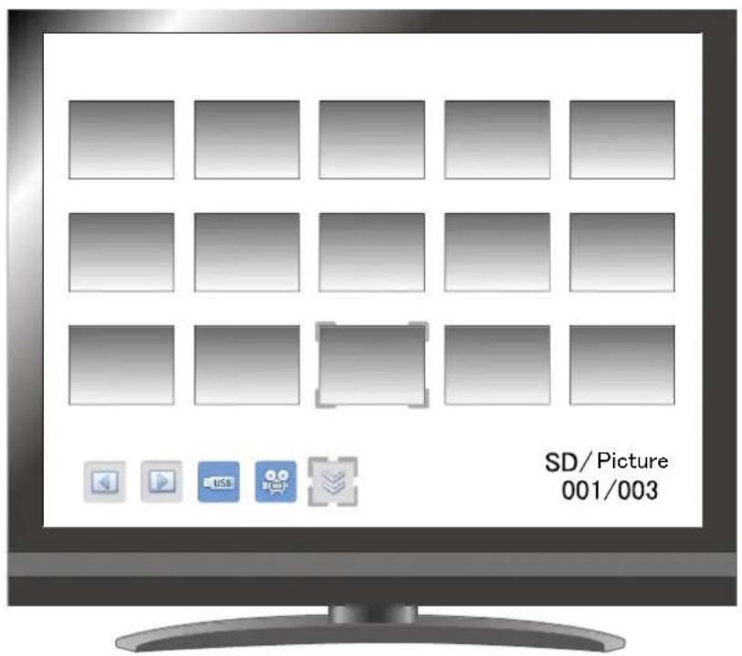 SD/Picture 001/003
