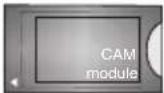 GRANDIN LD39VB2003 - Utilisation de Mon bouton 1 / 2 (\*) - 30
