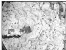 HAMILTON BEACH 86650 - Identifying the Correct Dough Consistency - 1