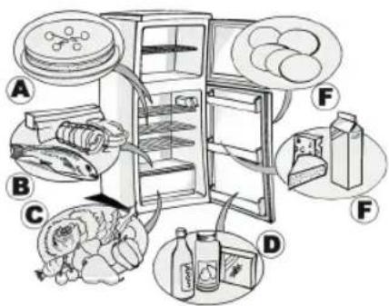 HOTPOINT HTM 1721 V - yLvwlUz s - 2