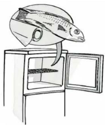 HOTPOINT HTM 1721 V - O - 1