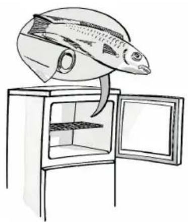 HOTPOINT HTM 1721 V - L L' Lu s L u - 2