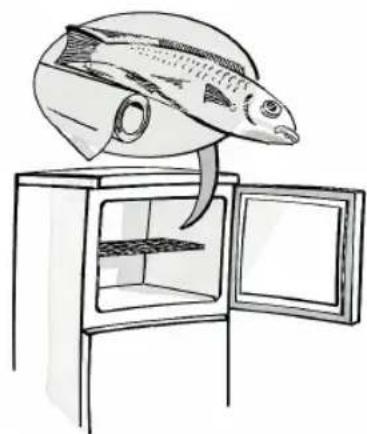 HOTPOINT HTM 1721 V - helfreezerListLALL TOP partment - 1