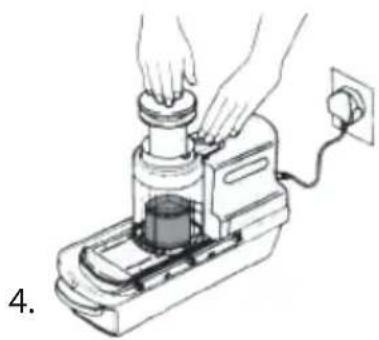Rosenstein & Söhne NC3630675 - Rape - 5