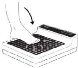 SECA 770 - Para pesar correctamente - 1