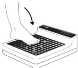 SECA 770 - How to weigh properly - 1