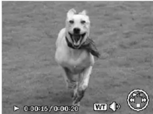 MEDION LIFE P43007 (MD 86341) - Videoclips opnemen - 1