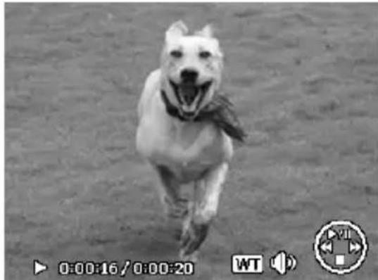 MEDION LIFE P43007 (MD 86341) - Videoclips aufnahme - 1