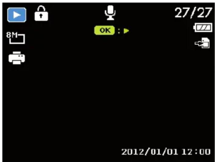MEDION LIFE X44038 (MD 86938) - Playing back single recordings - 1