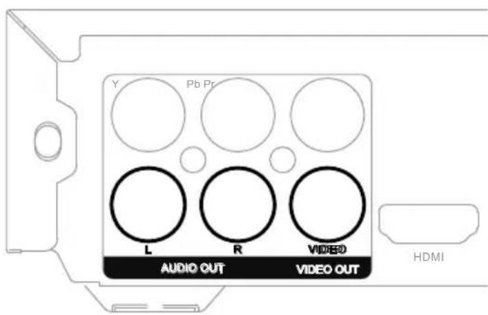 MEDION LIFE P71021 (MD 80036) - Cinch video audio - 1