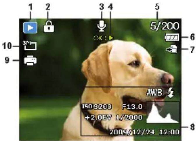 MEDION LIFE P44022 (MD 87270) - Displays for photo playback - 1