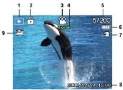 MEDION LIFE P44022 (MD 87270) - Displays for video playback - 1