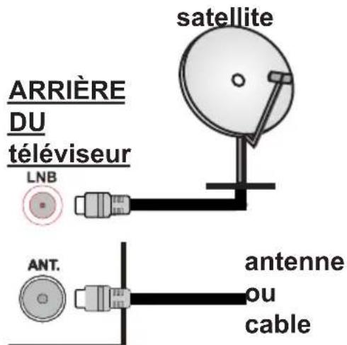MEDION LIFE S18037 (MD 31113) - Branchement de l'antenne - 1