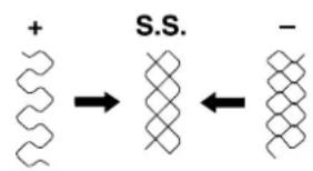 MEDION MD 18205 - Steekpatrooncorrectie - 1