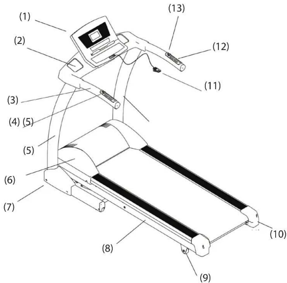 Cardiostrong TR70 - PRUDENCE - 1
