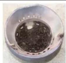 Cola Sabina - Limpieza del brasero - 1