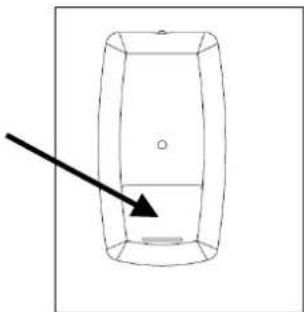 Cola Sabina - Sostituzione batteria - 2