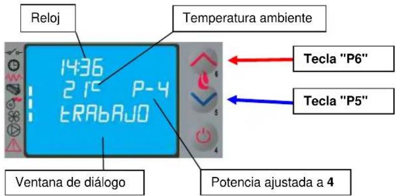 Cola Sabina - Funcionamento - 1
