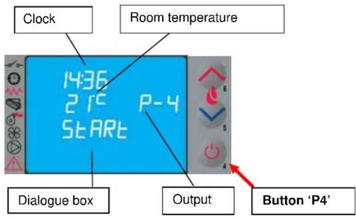 Cola Sabina - Startup stage - 1