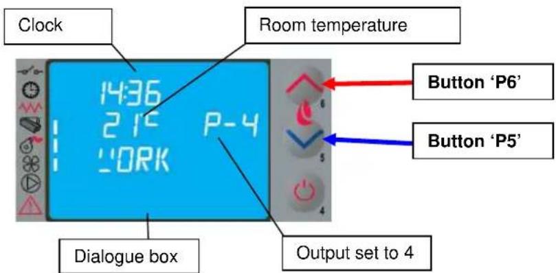 Cola Sabina - Work stage - 1