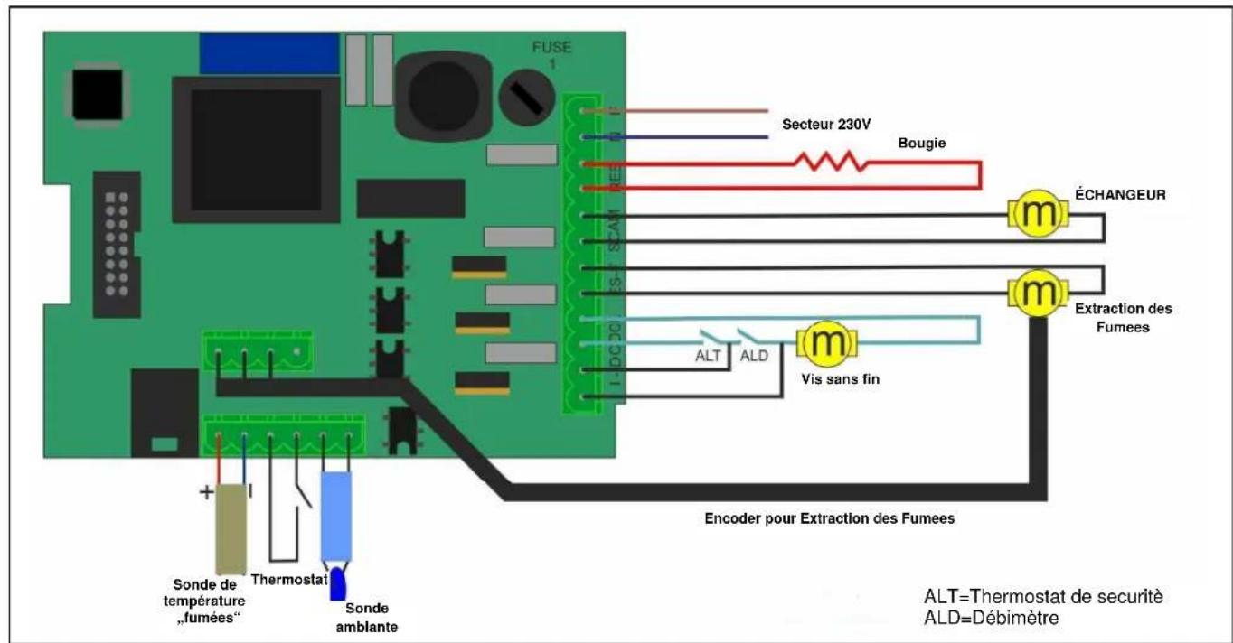Cola Sabina - Branchement électrique - 2