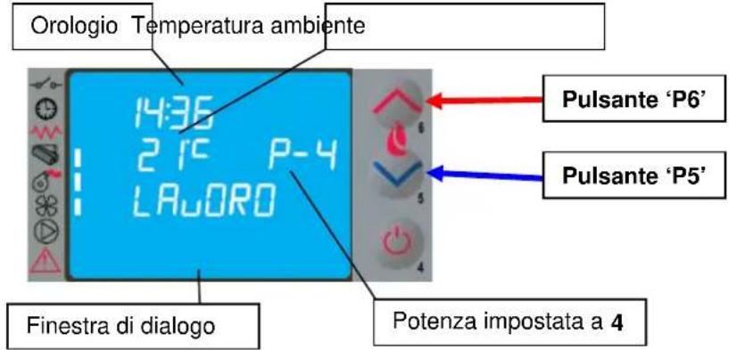 Cola Sabina - Fase di lavoro - 1