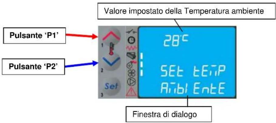 Cola Sabina - Fase di lavoro - 2