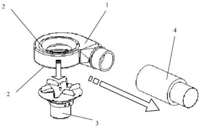 Cola Sabina - Éclatés de : - 2