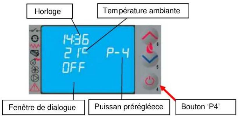 Cola Sabina - Extinction - 1