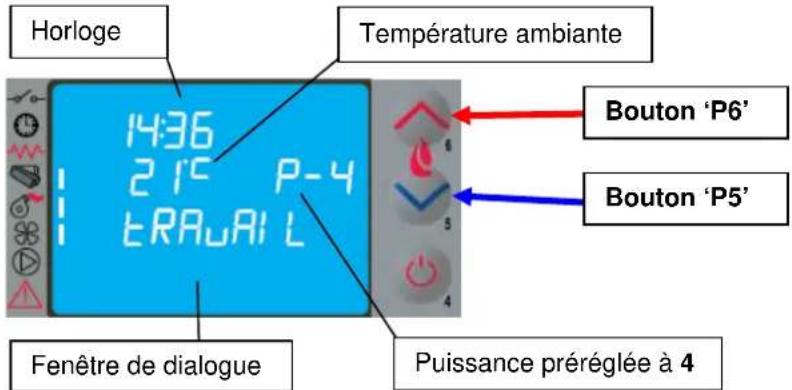 Cola Sabina - Fonctionnement - 1