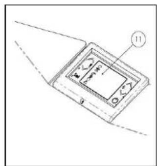Cola Sabina - Key: - 1