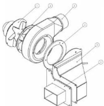 Cola Beauty 13 - Eclatés de : - 2