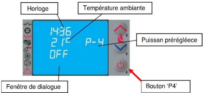 Cola Beauty 13 - Extinction - 1