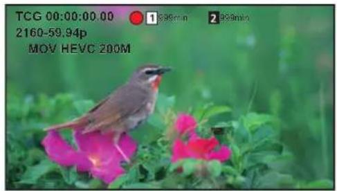 PANASONIC AGCX8 - Prise de vue - 3