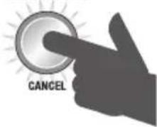 SAGE the Smart Grinder Pro BCG820 - Pause Function - 4